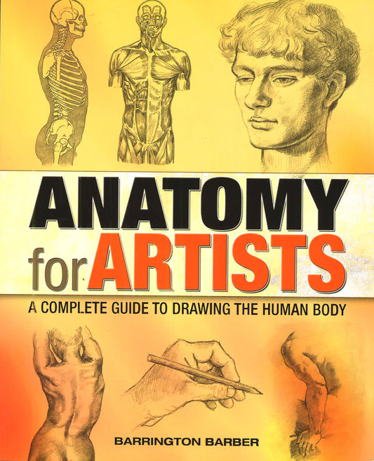 Anatomy For Artists