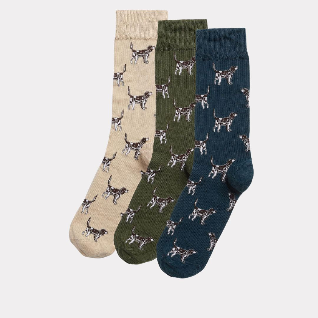 Pointer Dog Socks Gift Box (Forest Mist)